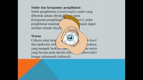 Interaksi Manusia dengan Komputer, Materi IMK,USER [Shintya Arie P/ Dosen Ifan Rizqa] Udinus