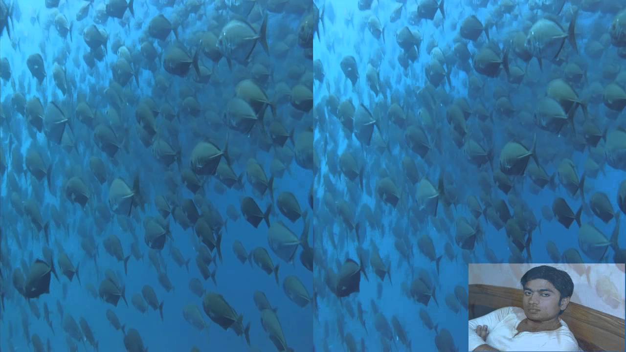 3D Galapagos Highlight H264