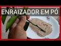 #ENRAIZADOR caseiro Passo a Passo FAÇA você mesmo.