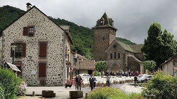 Mon beau Cantal N°116 Transhumance moutons Boussac St Simon juin 2018