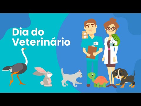 Vídeo: Explicação Do Jargão Médico Veterinário