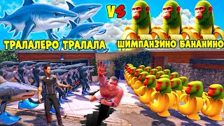 видео: ШИМПАНЗИНО БАНАНИНО БАНДАСЫ VS ТРАЛАЛЕРО БАНДАСЫ (GTA V) картинка: ШИМПАНЗИНО БАНАНИНО БАНДАСЫ VS ТРАЛАЛЕРО БАНДАСЫ (GTA V)