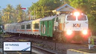 TRAINSPOTTING BANYUWANGI: Gateway to Bali! 🇮🇩 Blambangan Express, Wijayakusuma & Local Trains
