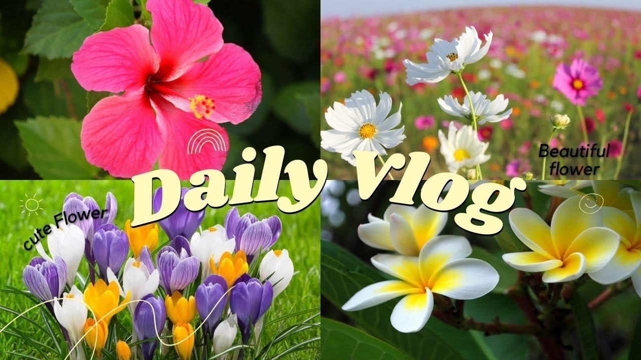 The Most Beautiful Flowers Collection 4K ULTRA HD Flower Garden