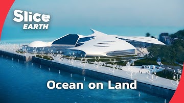 Inside the World’s Most Ambitious Aquarium Build | SLICE EARTH | FULL DOC