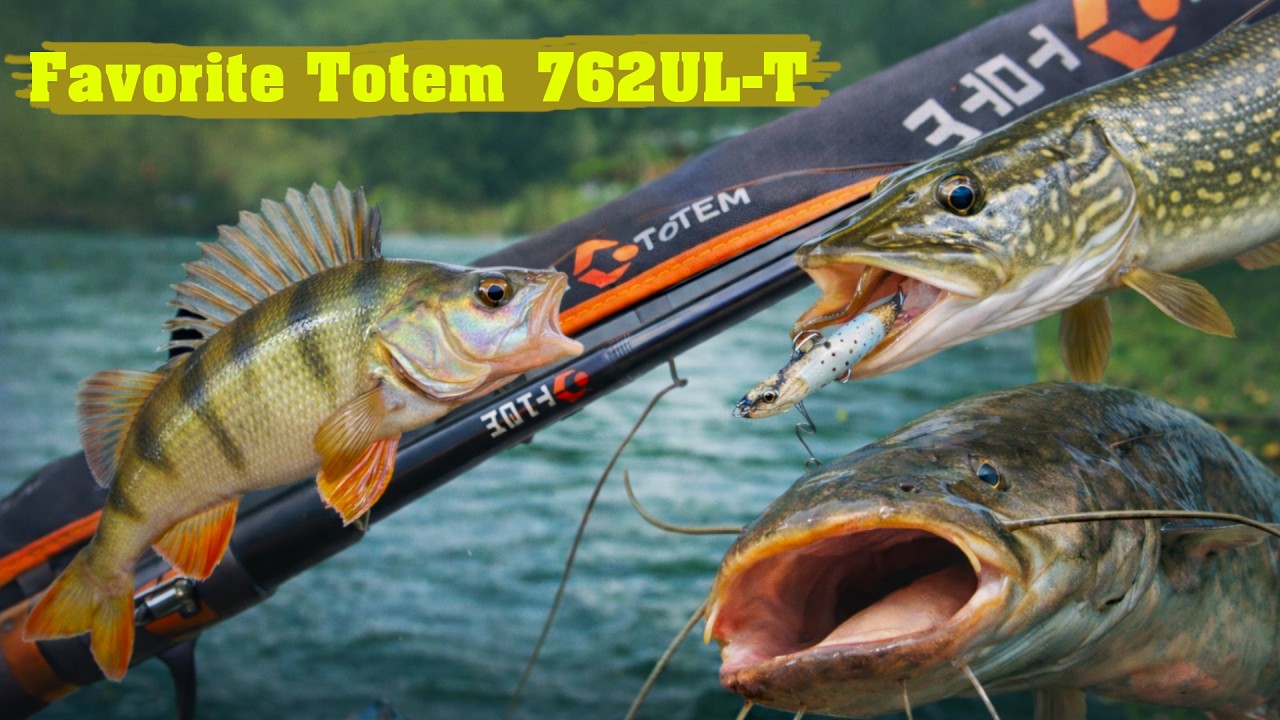 ✅Мій досвід з Favorite Totem!💥 Трофейні рибки! Окунь, щука і навіть СОМ!🎣