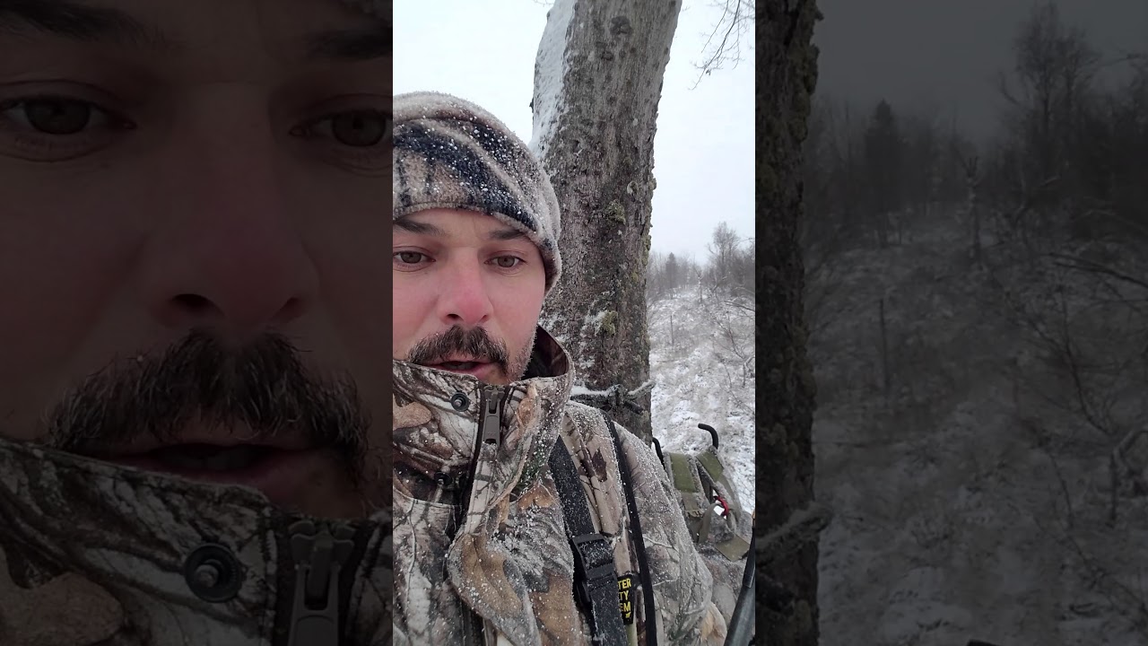 NH Hunting camp 2017