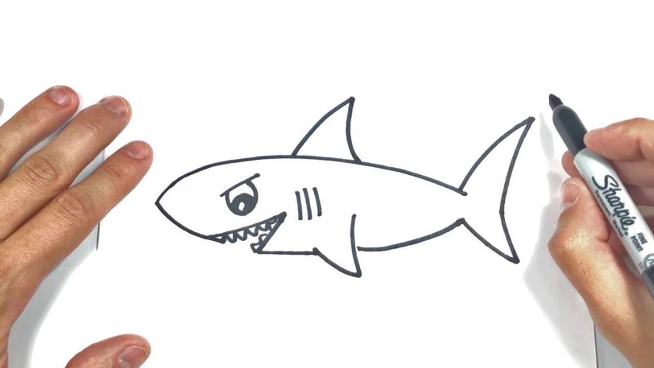 Cómo dibujar un Tiburon Paso a Paso y fácil - YouTube