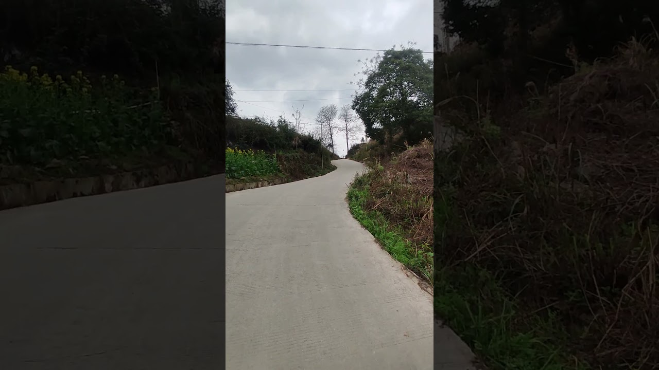Slowly Climbing a Guizhou Hillside 🌄💨 | 春日山路，缓步而行 🌼
