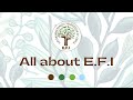 All about efi