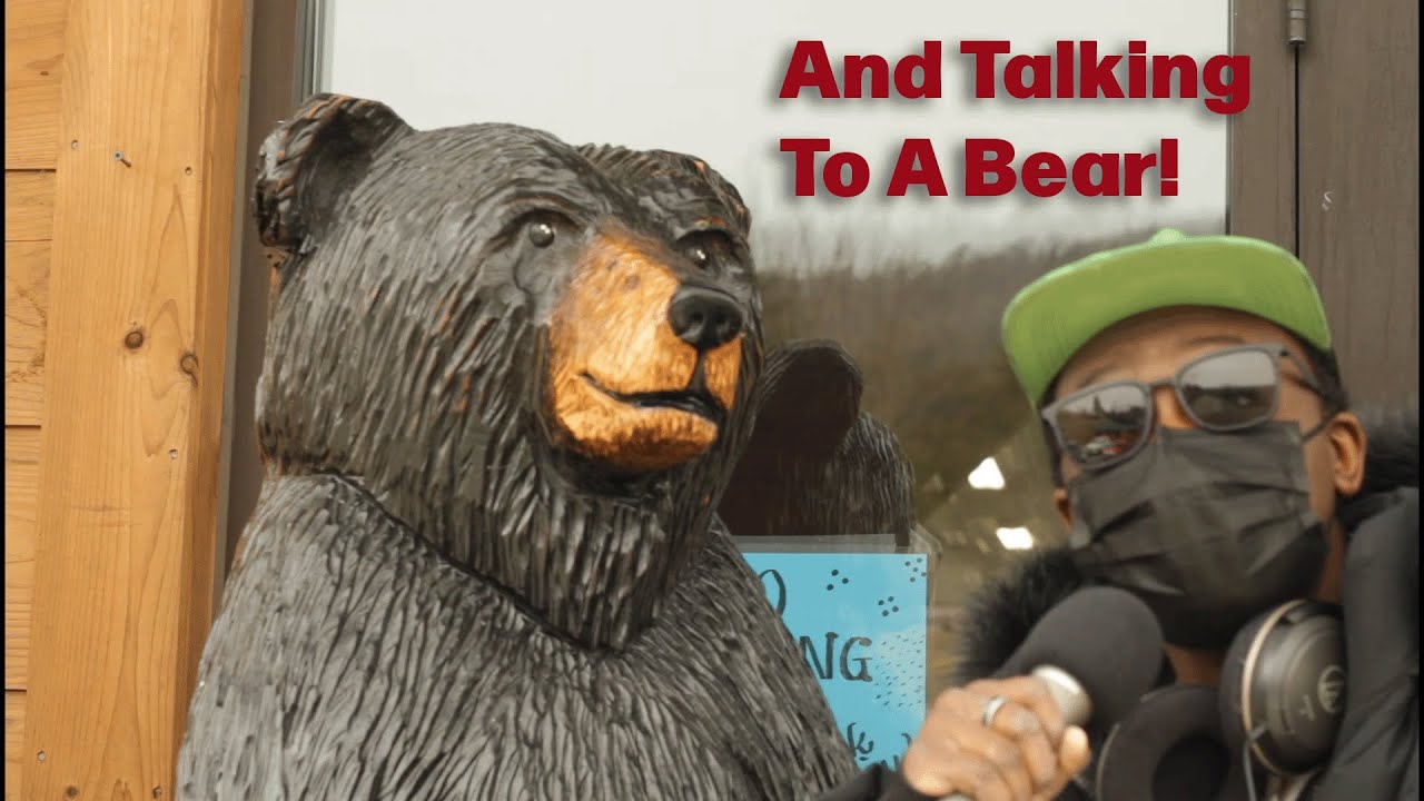 Random Vlog: I Visit An Amish Market!