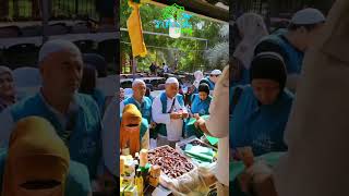 Yuksak Travel   Arxiv 2025 #uzb #tjk #kgz #umrah #madina #makka