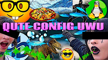 ricing and configuring qute browser #qutebrowser #linux