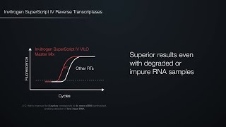 Fast, superior cDNA synthesis with SuperScript IV Reverse Transcriptase