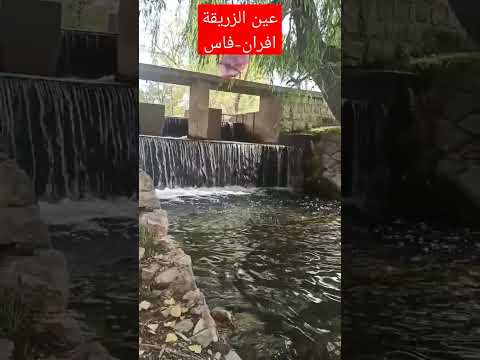 عين الزرقة بين مدينة فاس ومدينة إفران