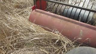 Cutting and Baling Switchgrass in a single pass