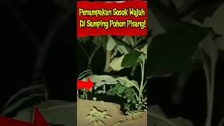 Penampakan Sosok Wajah Di Samping Pohon Pisang!!#penampakan