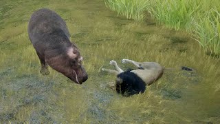 Primal Earth Hippopotamus 🦛VS Lion 🦁 by PhoneInk 218 views 8 days ago 9 minutes, 19 seconds