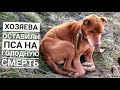 ОТ ПСА ОСТАЛСЯ СКЕЛЕТ😱Я В ШОКЕ ОТ УВИДЕННОГО