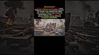 Why WW2 German Uniforms Were Designed in Field Gray