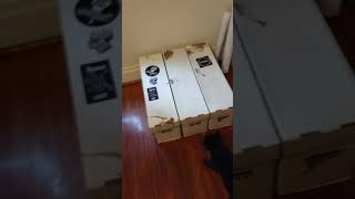 Huge Milestone. I Hit 1000.