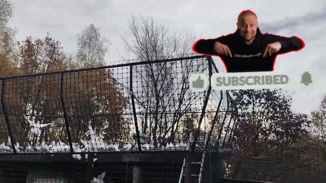 CAŁA WIEŚ GANIA. ODWIEDZINY U SĄSIADA 💣💣💣