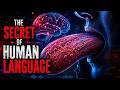 The Secret Of Human Language…