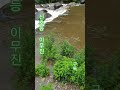 신호등 #이무진 #아름다운노래 #구독과좋아요