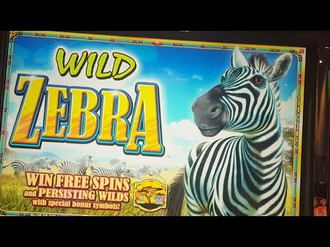 winston churchill quotes Late Night With Mr. Zebra
