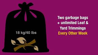 Two Bags Every Two Weeks