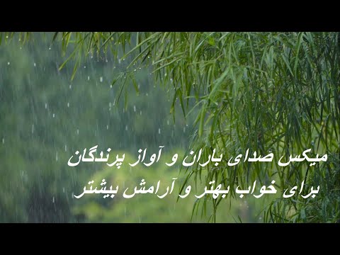 موسیقی آرامش بخش میکس صدای باران و آواز پرندگان برای خواب راحت تمدد اعصاب و رفع استرس روزانه 