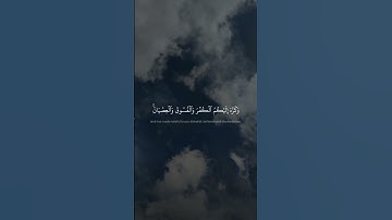 وَكَرَّهَ إِلَيۡكُمُ ٱلۡكُفۡرَ وَٱلۡفُسُوقَ وَٱلۡعِصۡيَانَ | محمد صديق المنشاوي | سورة الحجرات