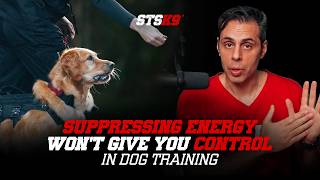Suppressing Energy Won't Give You Control In Dog Training