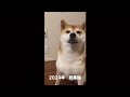 「ゔん」2024年総集編