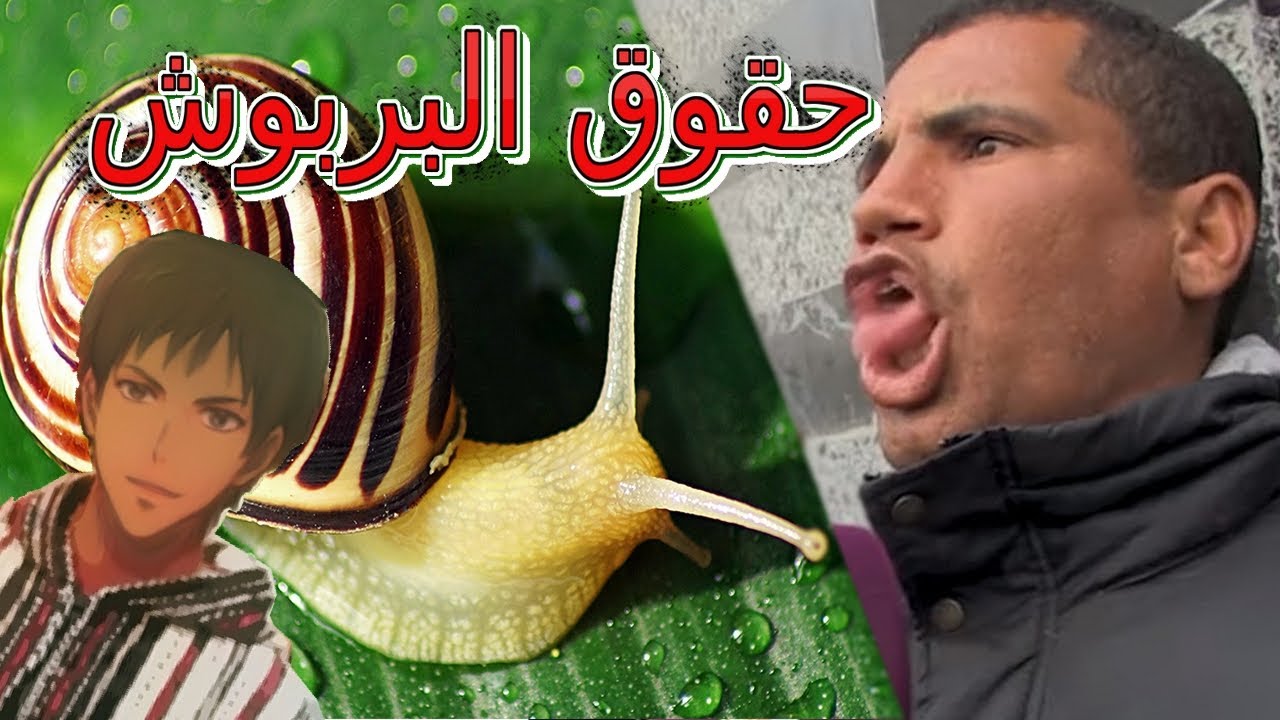 جمعية حقوق البربوش في المغرب هرب ليها الفريخ