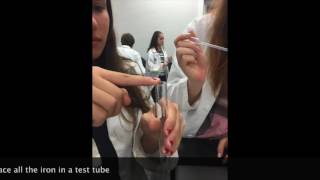 Lab #2: Scientific Method and Classification of Matter (iron)