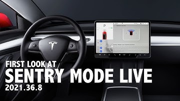 Tesla Live Sentry Mode Camera Access - Update 2021.36.8
