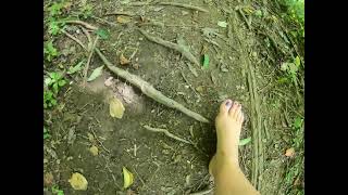 Barefoot Hiking | We're Back, Finally!:)