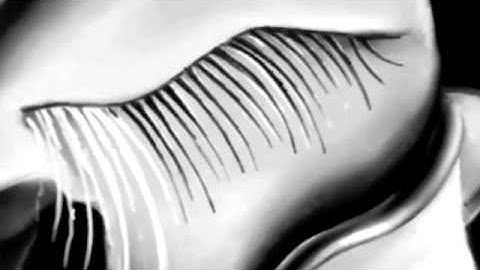 The Persistence of Memory Teaser Trailer