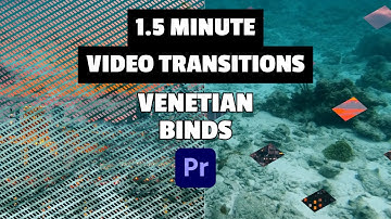 Create UNIQUE Transition with VENETIAN BIND in Premiere Pro (2024)