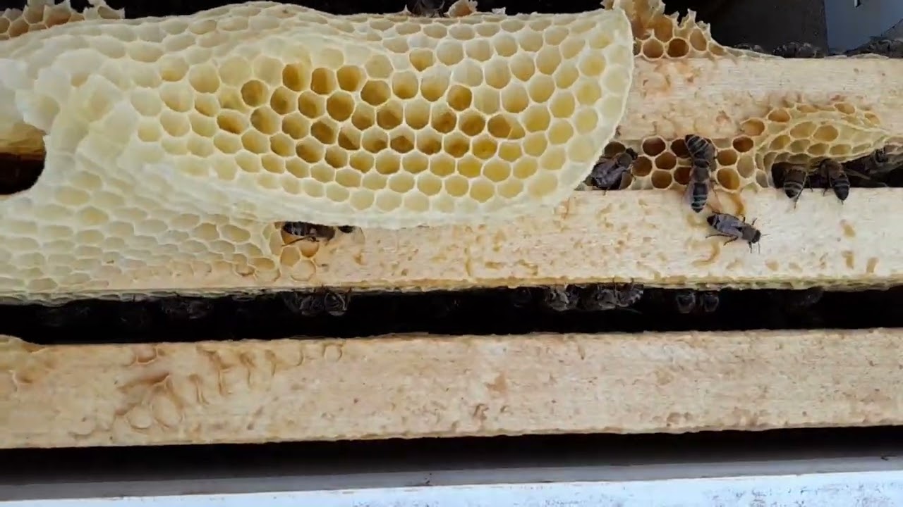 Pro změnu kraňky co něco vydrží a vypadají perfektně :-)