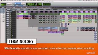 Pro Tools 302: Dialog Editing For Film  TV - 1. Session Layout: Anatomy of a Post-Production Project