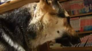 根こんぶでアワアワ