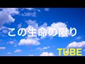 チューブ  この生命の限り【cover】