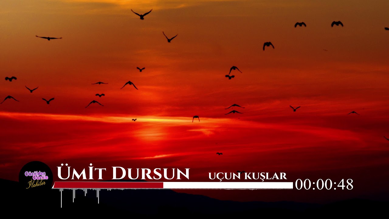 Müziksiz İlahi 🕋 Uçun Kuşlar Medine ye  🕋 Ümit Dursun Yeni Okuma 2021