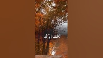 بسم الله الرحمن الرحيم تلاوة القرآن الكريم بصوت جميل جداً #islamicstorierduandhindi #دويتو #المصحف