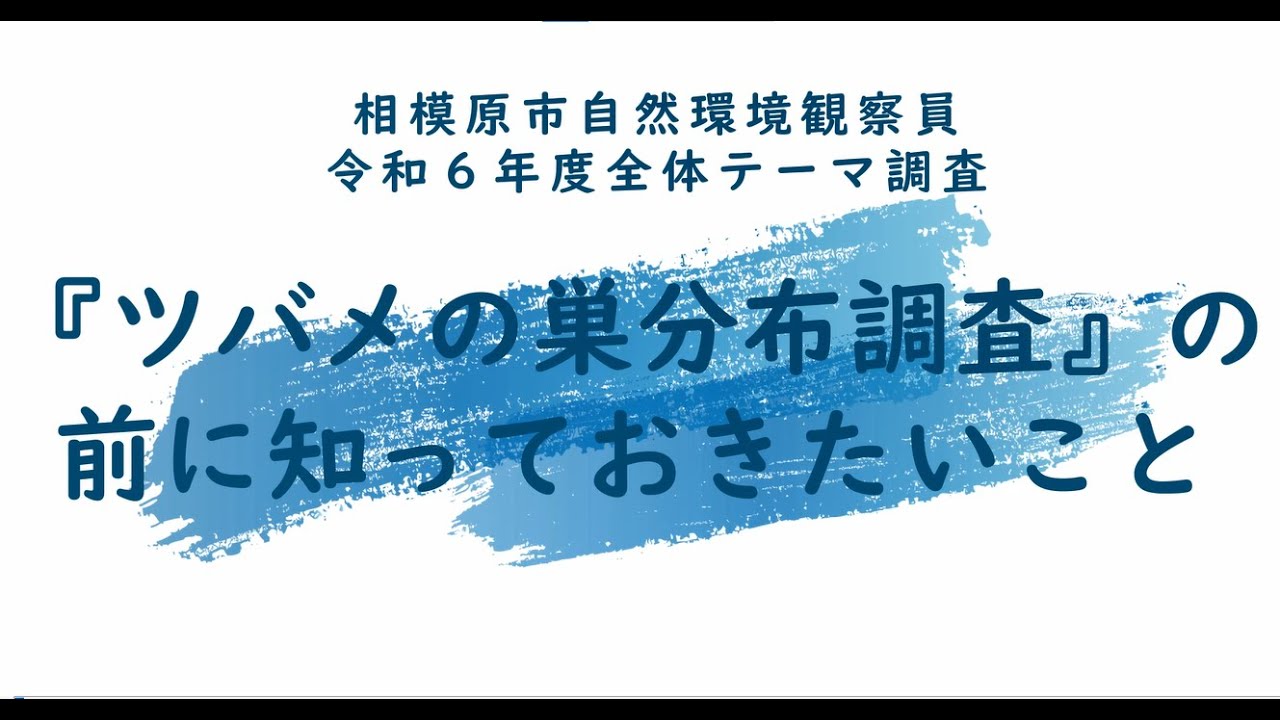 ツバメの仲間4種と巣について～ツバメの巣分布調査の前に知っておき