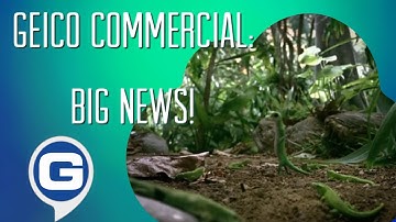 GEICO Gecko Commercial - Big News!🦎🌿(2005)