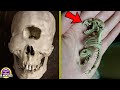 Top 6 Extraños Esqueletos Antiguos Encontrados  Recientemente II