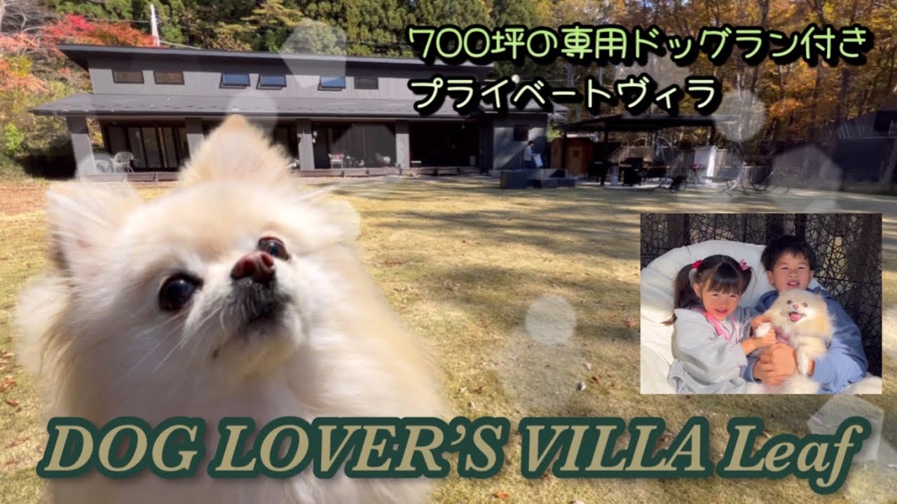 【旅行】愛犬と泊まれる700坪のドッグラン付き別荘DOG LOVER’S VILLA Leafで子供も犬も大はしゃぎ！！